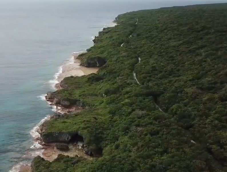Datei:Niue.png