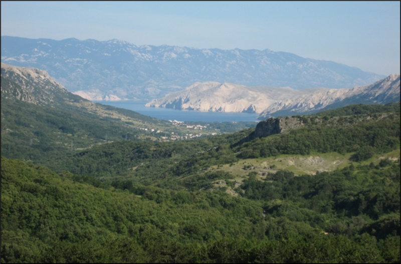 Datei:Bascanska draga.png