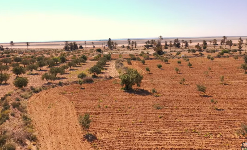 Datei:Djerba Landschaft.png
